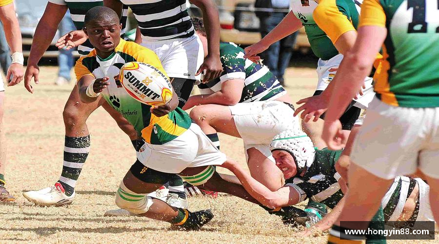 拥抱青春，释放活力！